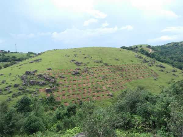 Contour Trenches, Mawphanlur, West Khasi Hills District